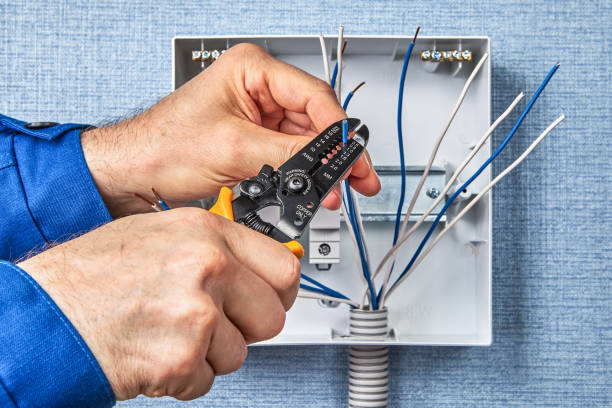 Best Electrical Safety Inspections  in Dunnavant, AL